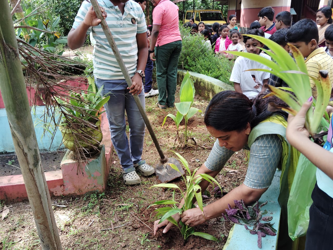 Environment day celebration